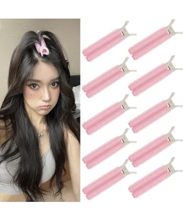 Hapdoo 10pcs Pink Volumizing Hair Clips  Volume Root Clips for Hair DIY  Fluffy Tooth Hair Volumizer Clips Hair Roller Hair Styling Tools for Women Girls