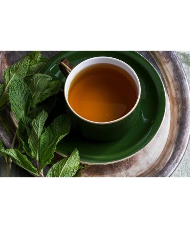 KORRES Mint Tea Revitalising Shower Gel 250ml - Active Aloe Vera Vegan & Dermatologically Tested - Shop Internationally - Buy Online on GoSupps.com