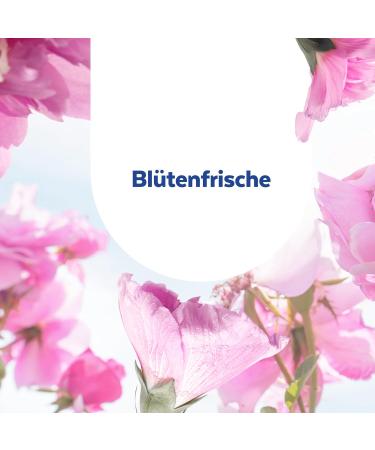 Sagrotan All-Purpose Cleaner 2in1 - Flower Freshness Disinfectant - 5 Pack (5 x 1.5L) | Reliable Surface Cleaning - Buy Online on GoSupps.com