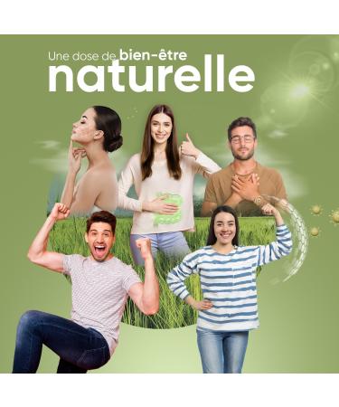 Organic Barley Herb Capsules - 240 Vegan Capsules (2 Months) - Super Food Greens Powder Barley Powder Free Magnesium Stearate Gluten Free & Non-GMO - 100% Natural & Organic Barley 2000mg/Serving - Buy Online on GoSupps.com