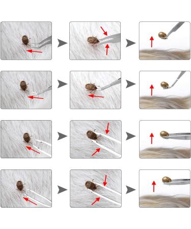 Melliex Tick Pliers Set - Stainless Steel Tick Remover & Tweezers for Dogs & Cats | Plastic Tick Hooks & Storage Box - Buy Online on GoSupps.com