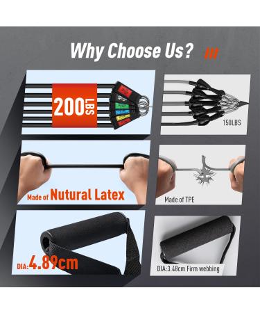 Ezona 200lbs Resistance Bands Set for Men and Women - Heavy Exercise Bands with Handles, Door Anchor, Ankle Straps - Home Gym, Yoga, Physical Therapy - Buy Online on GoSupps.com