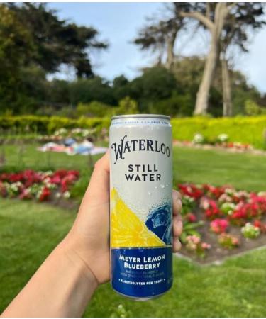 Shop Waterloo Still Water - Meyer Lemon Blueberry | Zero Calories Sugar & Sodium | 12 Fl Oz Cans (Pack of 12) - International Shipping Available - Buy Online on GoSupps.com