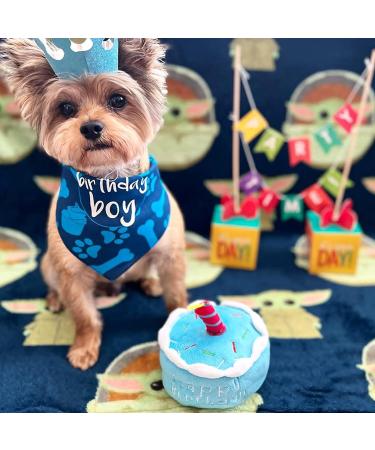 Minshuxi Dog Birthday Cake Toy - Plush Squeaky Bone & Interactive Pet Gift for Birthday Celebrations - Buy Online on GoSupps.com