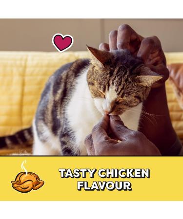 TEMPTATIONS Adult Cat Treats Tasty Chicken Flavour 850g Tub - Buy Online on GoSupps.com