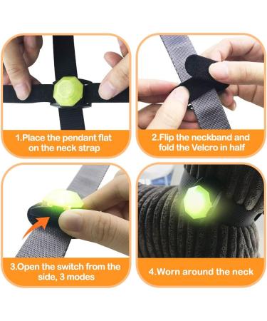 Laroo Safety LED Lights for Dogs & Cats - USB Rechargeable Waterproof Night Walking Collar Light (Green) - Buy Online on GoSupps.com