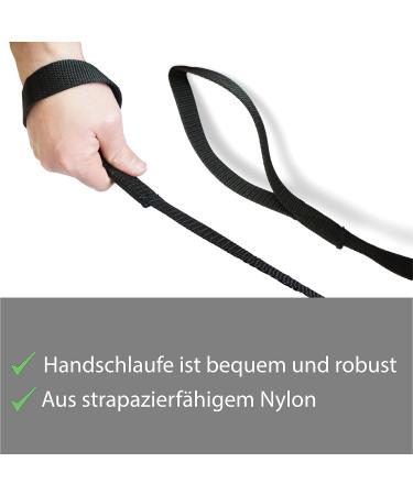 Guide for Horses - Safe Leading with Iron Chain & Nylon Handle | Stallion Pony Dog Donkey | 2.10m Length in Blue Red Green Black - Buy Online on GoSupps.com