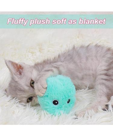 Buy PUPPBUDD Interactive Cat Toy with Catnip - Electric Sound Ball for Cats | Blue - International Shipping Available - Buy Online on GoSupps.com