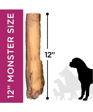Only One Treats Bully Sticks 12 Monster Sized Beef Dental Sticks for Dogs Dental Health Natural and Digestible Dog Chew Training Treats for Small to Medium Pets and Gentle Chewers (10 Pack) 10 count (Pack of 1) 12" (Pack of 10) - Buy Online on GoSupps.com