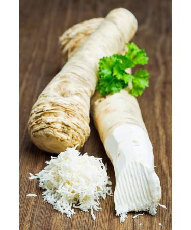 Organic Horseradish Root 8 oz | Fresh and Flavorful for Planting, Seasoning, and Sauces - Buy Online on GoSupps.com