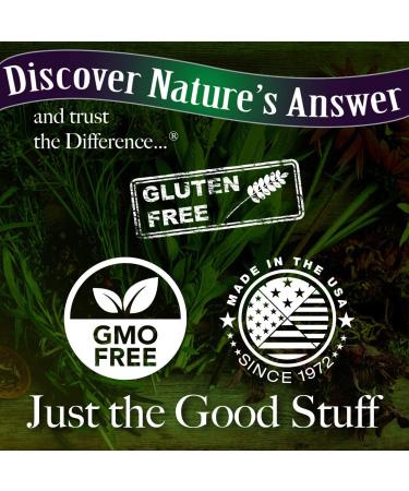 Ionic Zinc & Black Elderberry Immune Support - Nature's Answer 4 fl oz - Buy Online on GoSupps.com