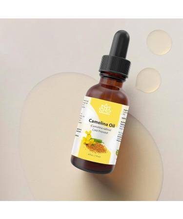 Relaxcation Pure Camelina Oil | Cold Pressed Natural Oil for Face Hair Nails & Body | Lightweight Extract to Promote Elasticity & Softness | Vegan Hexane-Free Unrefined (2 oz) 2 Fl Oz (Pack of 1) - Buy Online on GoSupps.com