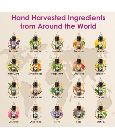 100% Natural Aromatherapy Essential Oils Set for Home Diffuser - 10ML x 20 - Gift Set for Relaxing, Cleaning, and Home Fragrance - Buy Online on GoSupps.com