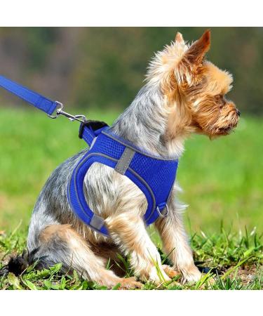 Joytale Reflective Soft Padded Dog Harness for Small Dogs - Air-Mesh Design for Puppies (S 38-42cm) - Royal Blue - Buy Online on GoSupps.com