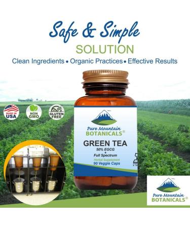 Organic Green Tea Capsules - 90 Kosher Vegan Caps with 450mg Extract - Buy Online on GoSupps.com