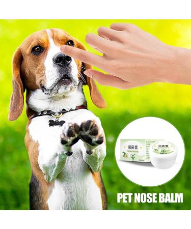 Moisturizer for Dogs Nose | Avocado Nose Cream for Dogs | 20g Natural Nose Moisturizer Lick-Safe Dog Nose Balm Moisturizes & Soothes Dry Cracked Noses Gonipol - Buy Online on GoSupps.com