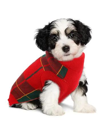 Katzinst dog sweater Small dogs dogs Christmas sweater fleece dog sweater Christmas with a styles sweater for French bulldog dackel chihuahua yorkshire red green xs xs green - Buy Online on GoSupps.com