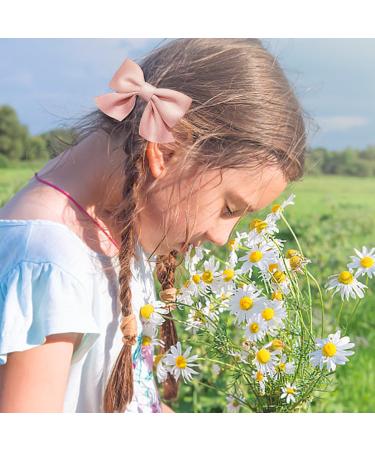6 Pieces Of Bow Hairpins Children'S Hair Accessories Bows Girls' Hair Accessories Non-Slip Hairpins Bow Decoration - Buy Online on GoSupps.com