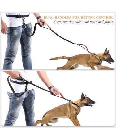 Vivaglory Free-Handed Dog Leash | Double Anti-Shock Bungees & Padded Handles | Reflective Waist Running Leash for Training & Jogging | Fits Waist 65-112cm | Black/Orange - For Medium & Large Dogs - Buy Online on GoSupps.com