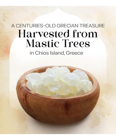Cerez Pazari Natural Mastic Gum 0.88oz - 100% Real Chios Mastiha Resin | Medium Tears, Gluten Free, Non-GMO, Vegan - Resealable Bag 25g - Buy Online on GoSupps.com