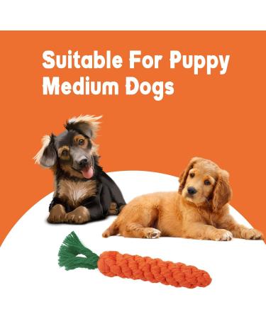 Zeaying Carrot Dog Toys - 2 Piece Braided Rope Set for Small & Medium Puppies | Chicken Stuffed Toys - Buy Online on GoSupps.com