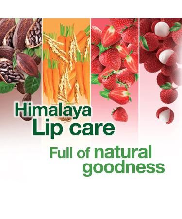Himalaya Lip Balm Pack of 12 - 10 Gm Nourishing Formula with Wheat Germ & Carrot Seed Oil for Soft Hydrated Lips - International Shipping Available - Buy Online on GoSupps.com