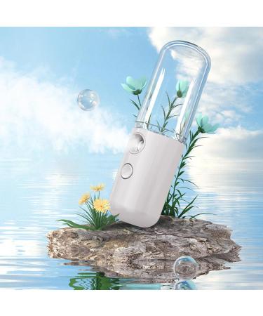 Face Humidifier Face Humidifier Skin Care Portable USB Charging Moisturizing Hydrator Nano Mist Sprayer Face Nano Mist Sprayer for Home (White) - Buy Online on GoSupps.com