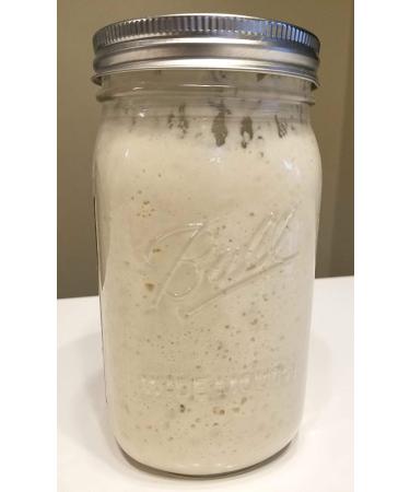 Wild Wheat Sourdough Starter Dehydrated - Contact for Best Customer Service - Buy Online on GoSupps.com