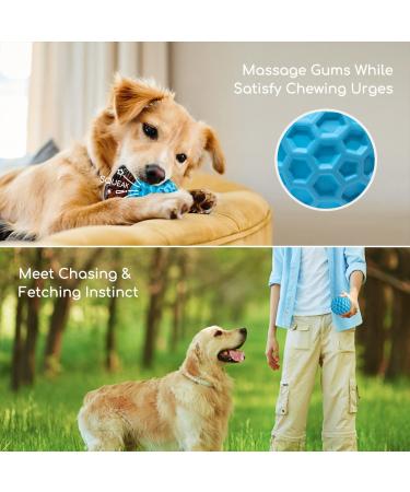 Indestructible Nobleza Dog Ball - Natural Rubber Squeaky Interactive Toy | Robust 5.5cm Dog Ball for Hours of Fun - Buy Online on GoSupps.com