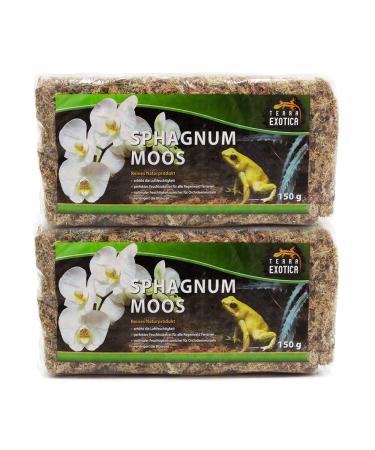 Terra Exotica Sphagnum Moss (300 g) peat moss for garden houseplants & terrariums