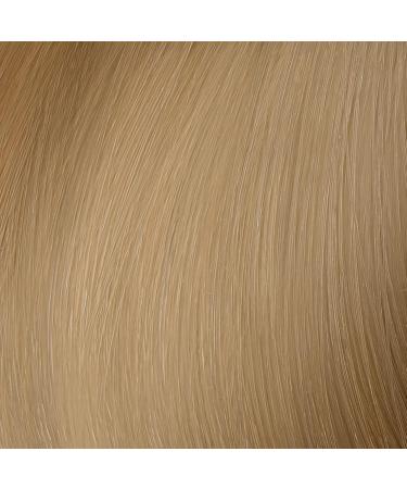 L'Or al Paris Majir.10.31 Platinum Blue Gold Ash - 50ml | Shop Internationally for Premium Hair Color - Buy Online on GoSupps.com