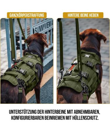 Buy Oneigris Dog Dishes - Invictus Support & Lifting Dishes for Medium & Large Dogs | Safety Dishes with 3 Handles & Adjustable Straps - M Green - Buy Online on GoSupps.com