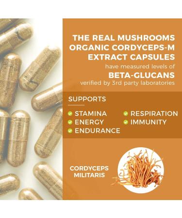 Cordyceps Performance Mushroom Extract Powder - Boost Energy & Endurance (120ct) Non-GMO - 60 Days Supply - Buy Online on GoSupps.com