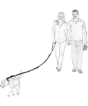 Mile High Life | Retractable Hands Free Dog Leash | Waist Running Adjustable | Reflective Dual Bungees | Dual Handles | Small Medium Large Dogs | (Purple) 7 Foot (Pack of 1) Waist Running-Purple - Buy Online on GoSupps.com