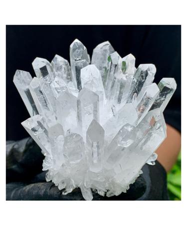 Natural White Phantom Quartz Crystal Cluster Samples Home Office Decoration Crystal Cluster (Size : 480-500)
