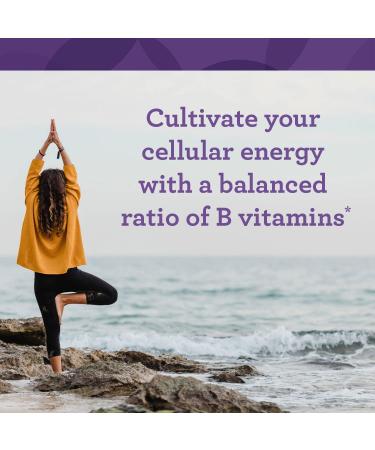 Buy Innate Response Formulas B Complex - 90 Tablets for Energy & Wellness - Buy Online on GoSupps.com