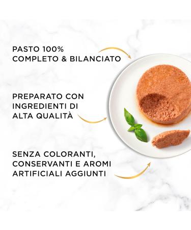 Purina Gourmet Gold - Pack of 24 cans of wet p t with salmon for cats 85 g each - Buy Online on GoSupps.com