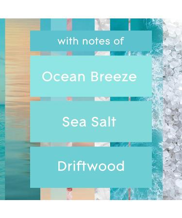 Glade PlugIns Refills Air Freshener - Sky & Sea Salt Scented Essential Oils - 1.34 Fl Oz (2 Count) - Buy Online on GoSupps.com