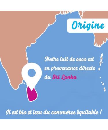 Organic Coconut Milk 17% mg 400ml | No Additives | No GMO | Vegan | Fair Trade | No Dyes | Curry | Dhal | Asian Cuisine | Indian - Buy Online on GoSupps.com