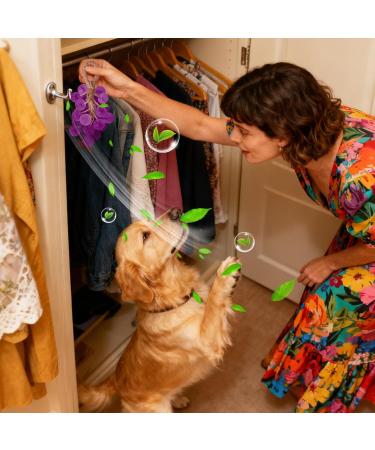 Handmade soap handmade solid shampoo grape bouquet natural soap for women and men body care hand care skin blemishes shower travel - Buy Online on GoSupps.com