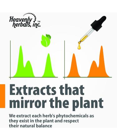 Heavenly Herbals Pure Rauwolfia Serpentina Mother Tincture - Ayurvedic Sarpagandha for Blood Circulation & Wellness | Ships Internationally from USA - Buy Online on GoSupps.com