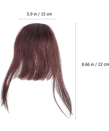 Minkissy Clip in Bangs Human Hair Extensions on Fringe Bangs with Net for Women One Piece Hairpiece Dark Bangs Hair Clip Dark Brown - Buy Online on GoSupps.com
