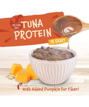 Earthborn Holistic Autumn Tide Tuna & Pumpkin Grain-Free Cat Food Pouches - Case of 24 - Buy Online on GoSupps.com