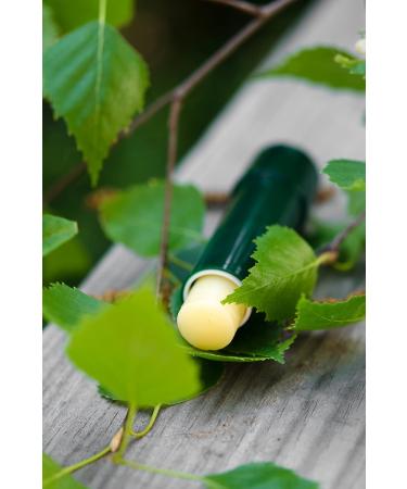 SYLVECO Birch Lip Balm with Betulin - Natural Lip Care for Men & Women - 4.6g | Shop Internationally - Buy Online on GoSupps.com