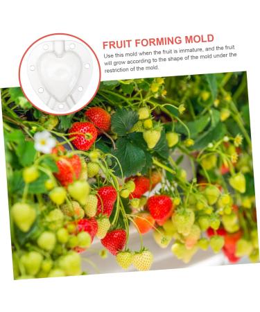 VANZACK 15 Pcs Fruit Shaping Mold White Watermelon Strawberry 4.5x4cmx3pcs Whitex3pcs - Buy Online on GoSupps.com