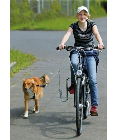 Buy Doggy Guide Bicycle Holder - Universal Pet Bike Attachment for Safe Rides | Free International Shipping - Buy Online on GoSupps.com
