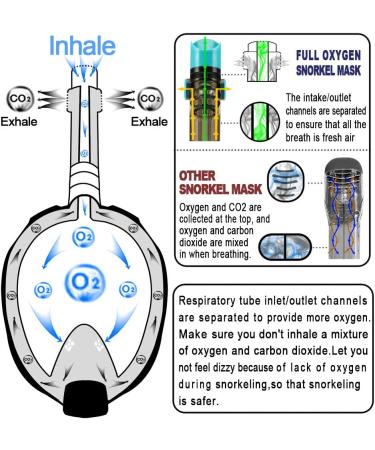 WSTOO Full Face Snorkel Mask 180 Panoramic View with Dry Top Breathing System - Anti-Fog, Anti-Leak, Camera Mount - Snorkeling Gear for Adults and Kids (Style A, Black Large) - Buy Online on GoSupps.com