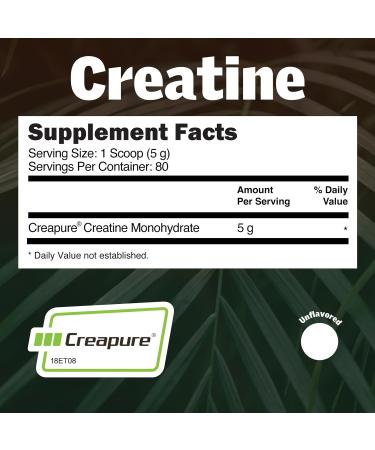 EarthNutri Pure Creatine - Unflavored Creapure Creatine Monohydrate Powder | 50 Servings | International Shipping - Buy Online on GoSupps.com