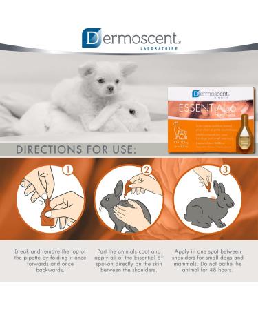 Dermoscent Essential 6 Spot-On for Dogs - Relief from Itching & Allergies | 4 Pipettes | 0-10 kg | Vitamin E Oil - Buy Online on GoSupps.com