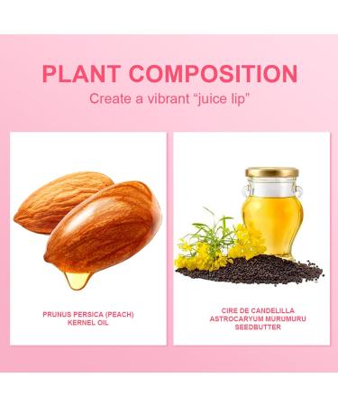 Moisturizer Chapstick Moisturizing Lip Hydration Chapstick - Long Lasting Hydrating Lip Care And Lip Repair Balm For Dry And Chapped Lips Honhoha #3 Nishiyuzu flavor - Buy Online on GoSupps.com